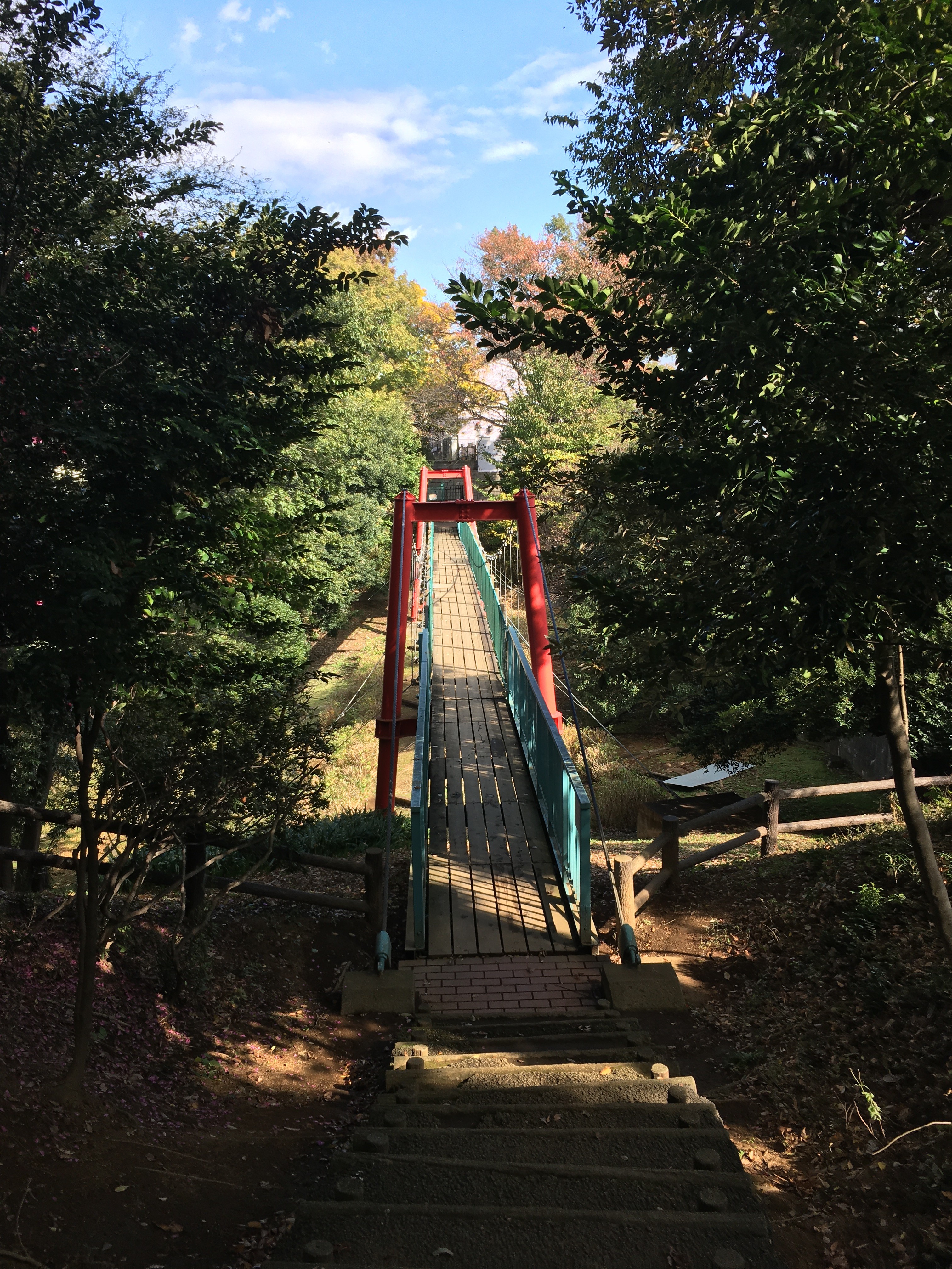 滝の根公園　吊り橋